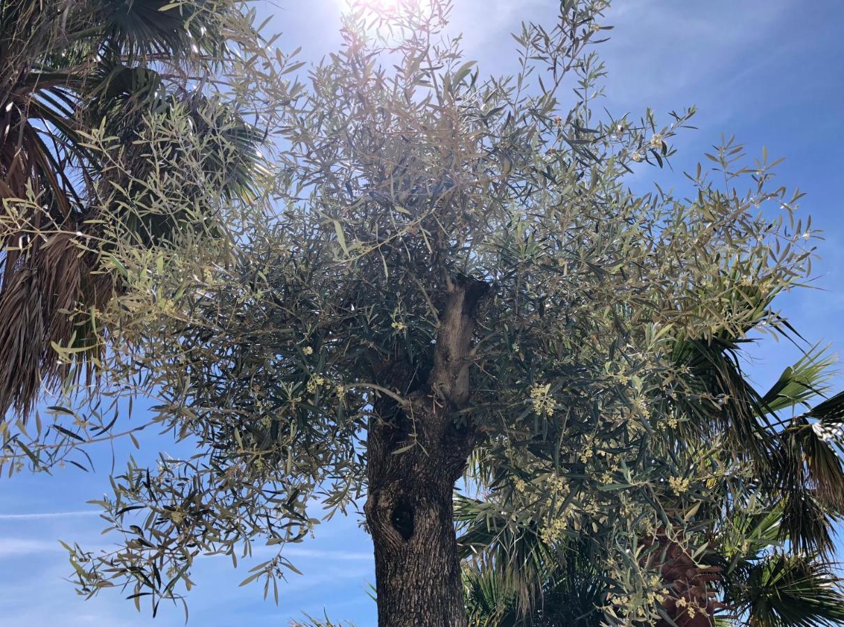 Bahia de Casares Casa Olina 아파트 외부 사진