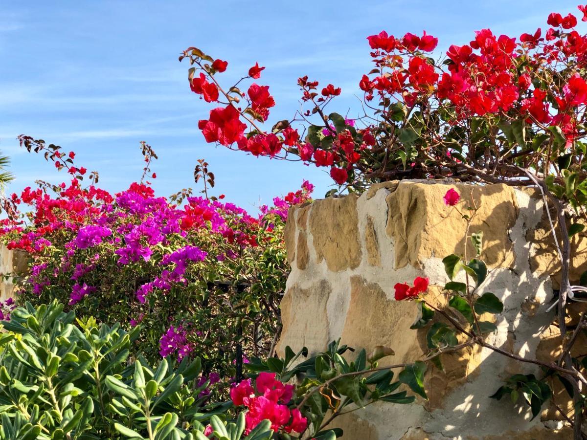 Bahia de Casares Casa Olina 아파트 외부 사진